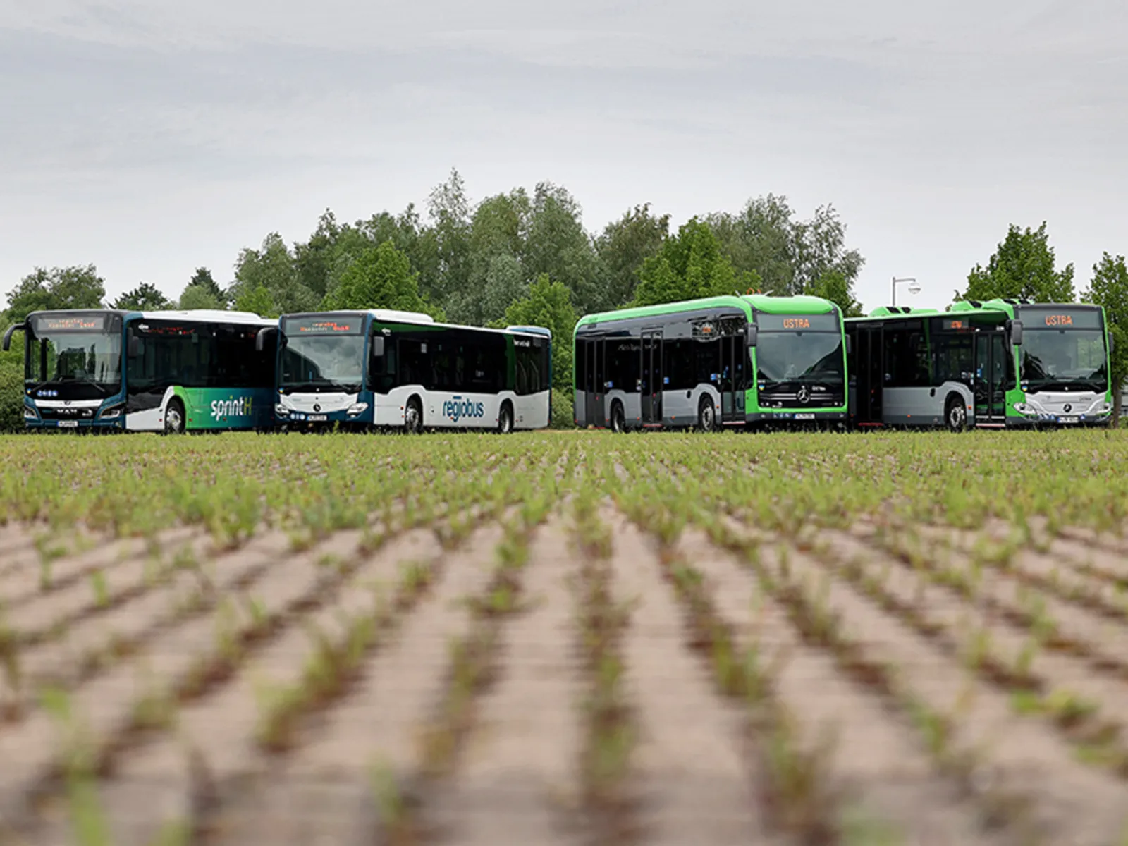 Fahrzeuge von Üstra und Regiobus